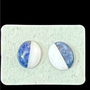 Elegant Blue and White Earrings
